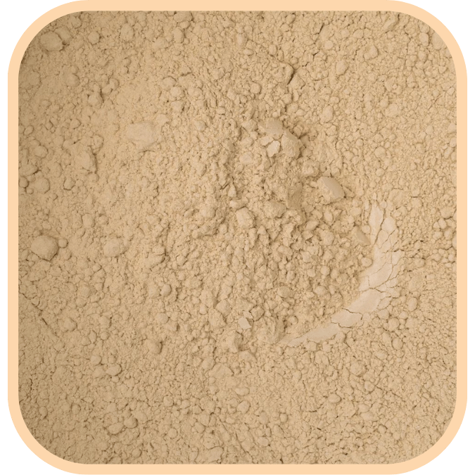 Gram Dahl (Besan) Flour